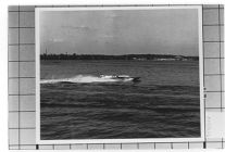 U-17 Speed Boats
